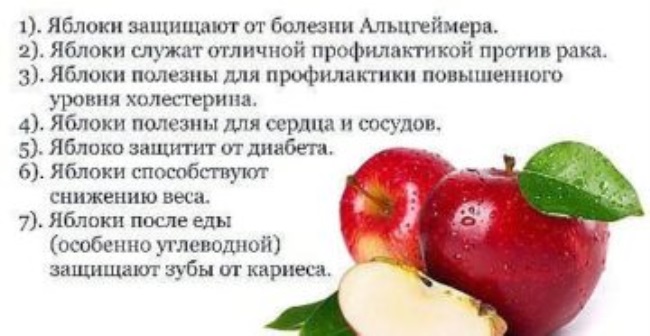 Квашенные яблоки польза